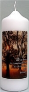 Spruchkerze 165 x 60 mm, Der Herr ist mein Hirte, Psalm 23
