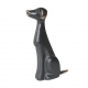 Kleiner Hund