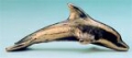 Delphin